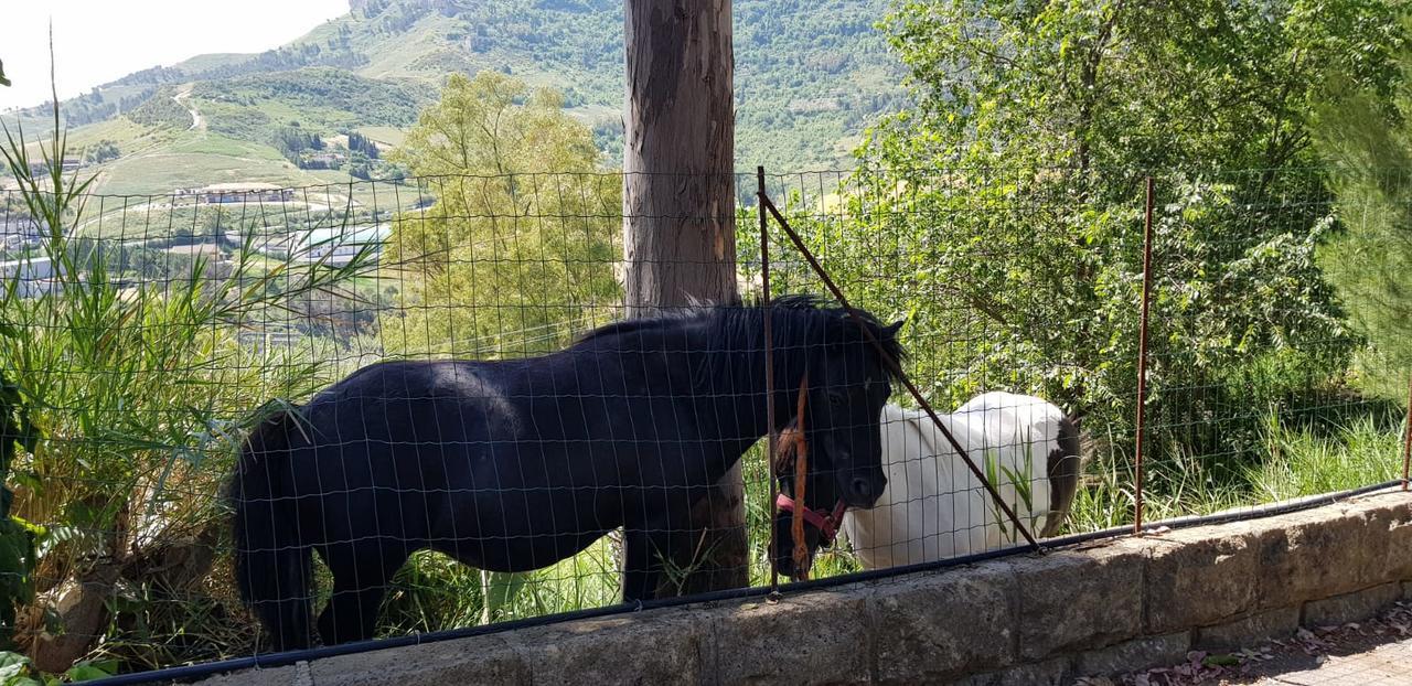 B&B Da Pietro Calascibetta Luaran gambar